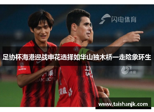 足协杯海港迎战申花选择如华山独木桥一走险象环生 足协杯海港迎战申花选择如华山独木桥一走险象环生